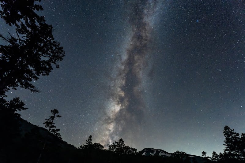 Starlit Meadows